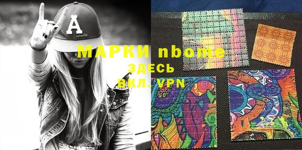 сатива Алагир