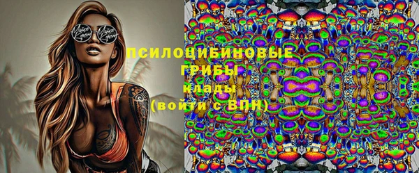 spice Ачинск