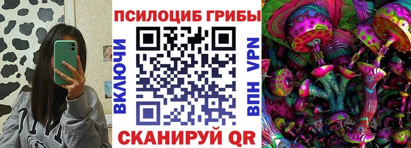 где можно купить наркотик  Новая Усмань  Псилоцибиновые грибы Psilocybe 